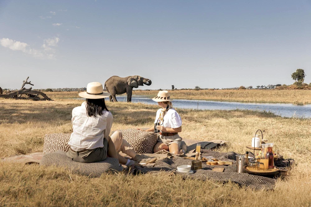 Luxury Safaris