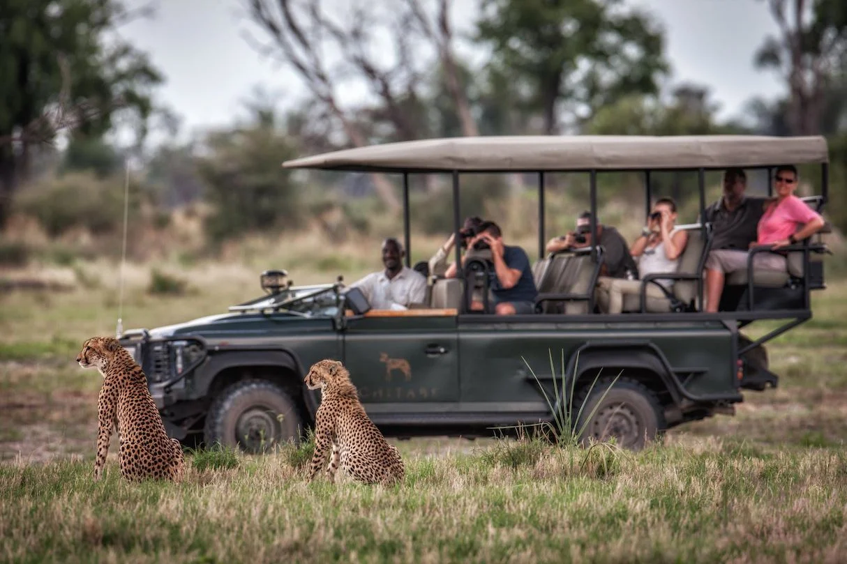 Small Group Safaris